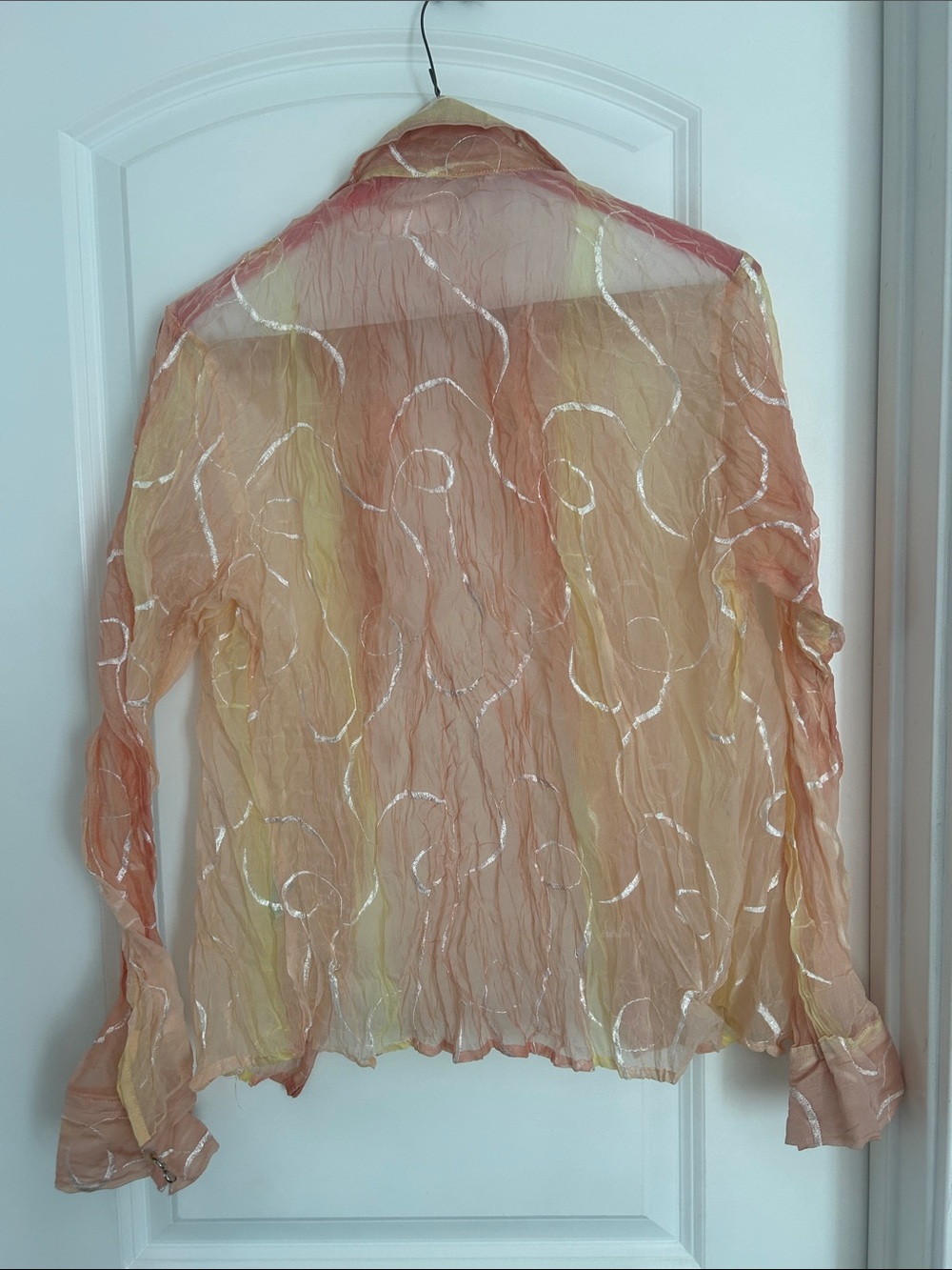 Sheer Button Up - Picture 2 of 2
